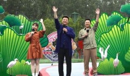 大盗最新英雄爆料视频,神秘面纱下的传奇风采